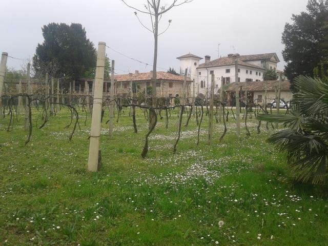 Alloggio Agrituristico Conte Ottelio Pradamano Bagian luar foto